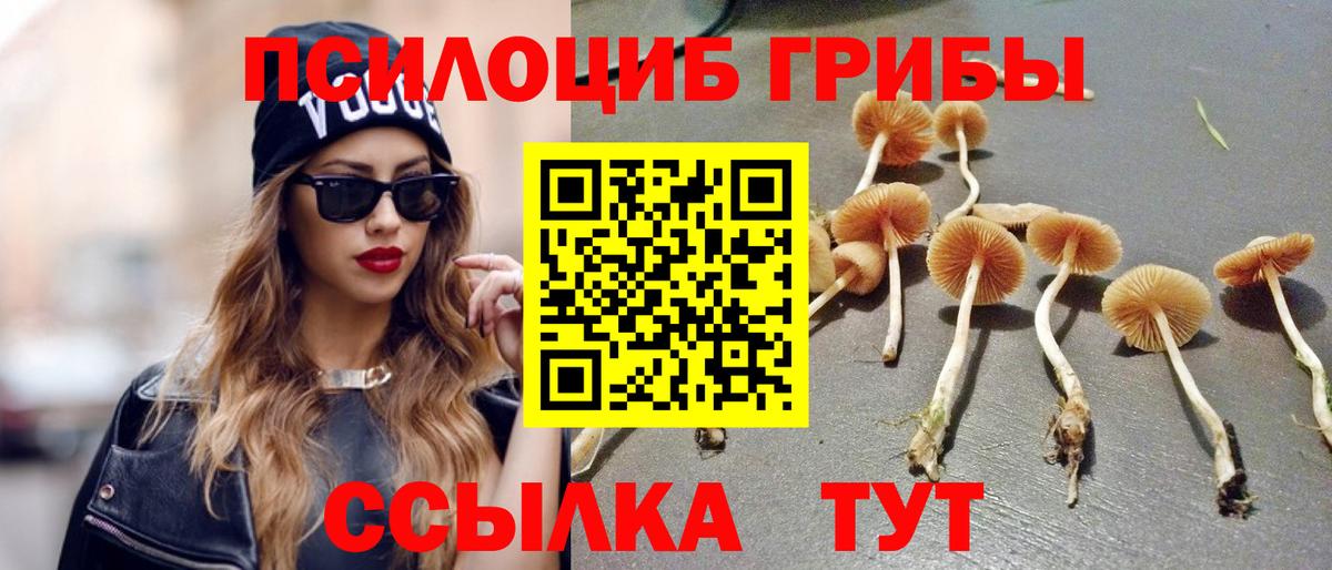 Псилоцибиновые грибы прущие грибы  Вход с VPN  Галлюциногенные грибы Psilocybe  Соликамск 